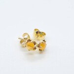 K18YG Earribg with Hesonaite garnet