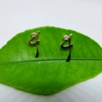 K18YG White sapphire Sinhalese Earrings