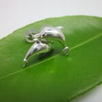 Dolphin shape